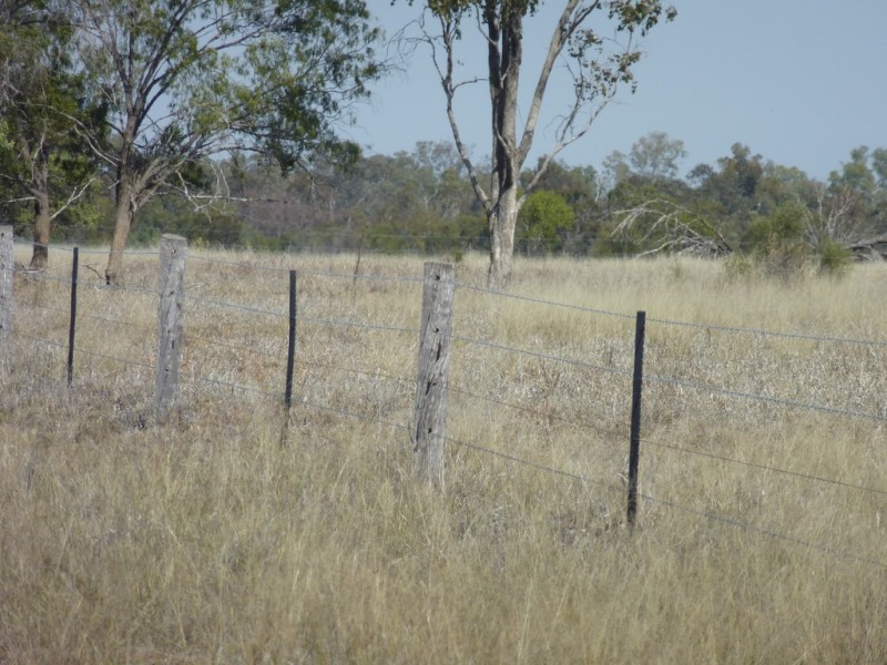 ” TAEMARIE “, Condamine QLD 4416