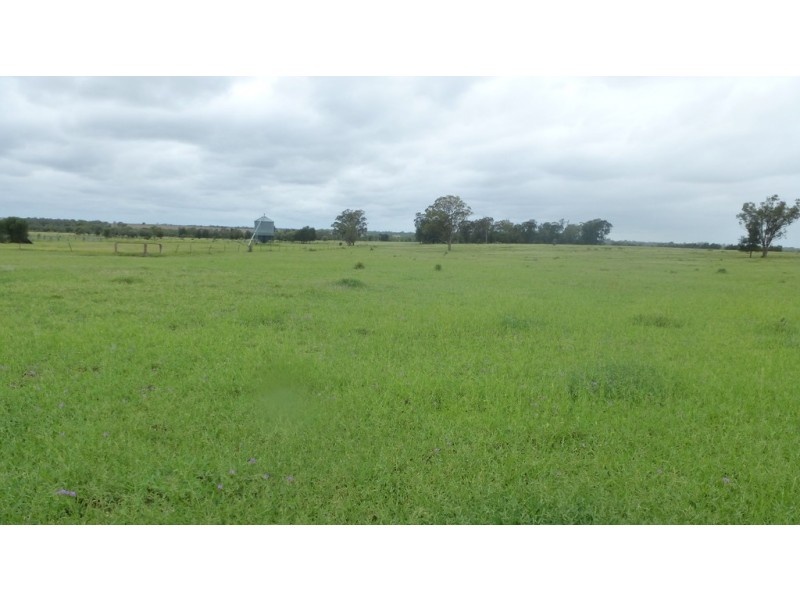 ” TAEMARIE “, Condamine QLD 4416