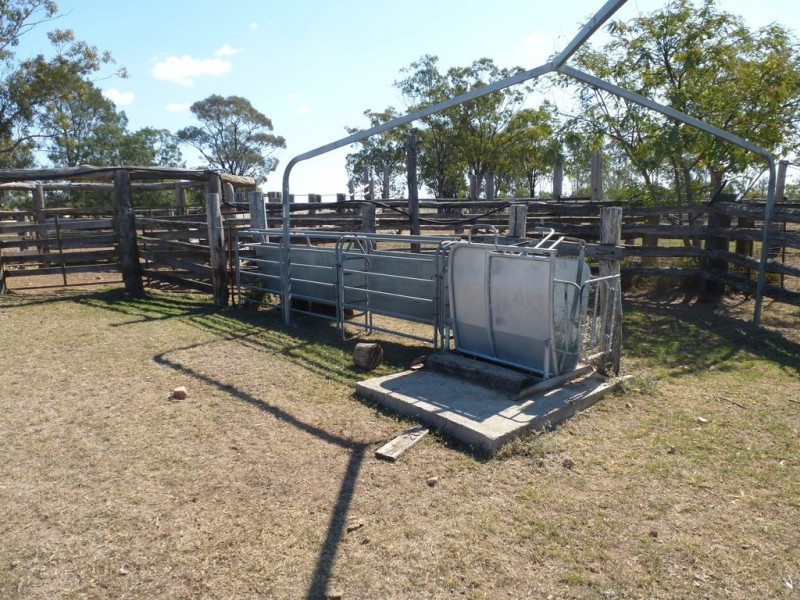 ” TAEMARIE “, Condamine QLD 4416