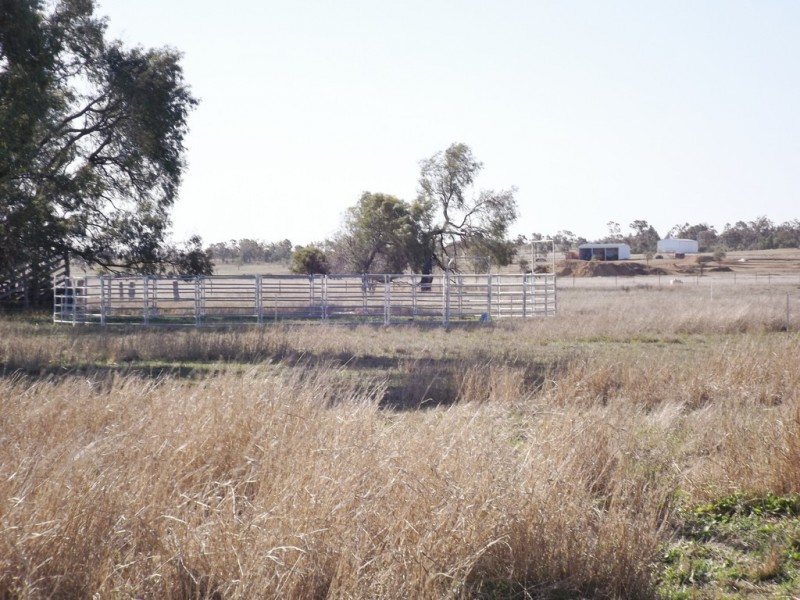 14 Hartleys Lane, Roma QLD 4455