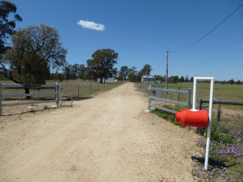 ” SPRINGROSE “, Tara QLD 4421