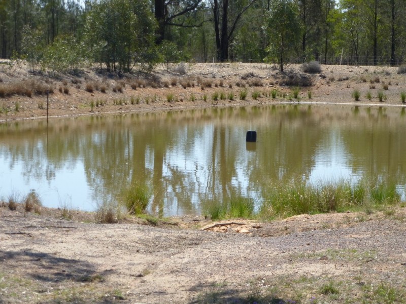 ” SPRINGROSE “, Tara QLD 4421