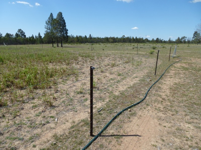 ” SPRINGROSE “, Tara QLD 4421