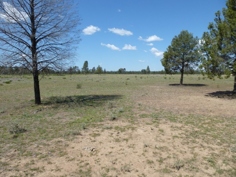 ” SPRINGROSE “, Tara QLD 4421