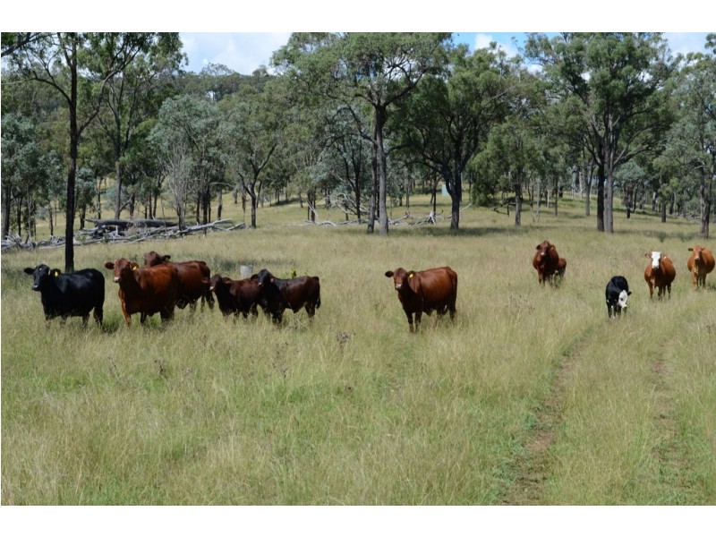 “The Glen” 988 Pilton Valley Rd, Upper Pilton QLD 4361