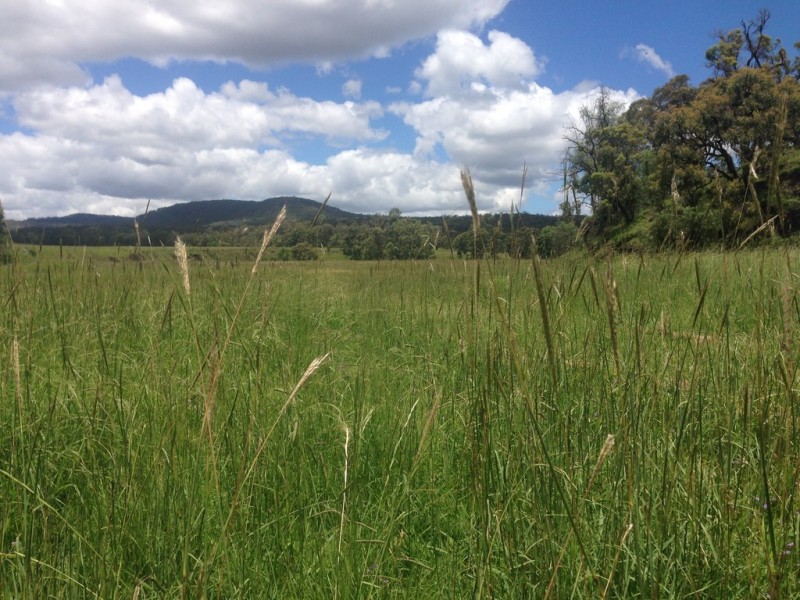 “The Glen” 988 Pilton Valley Rd, Upper Pilton QLD 4361 GDL Real