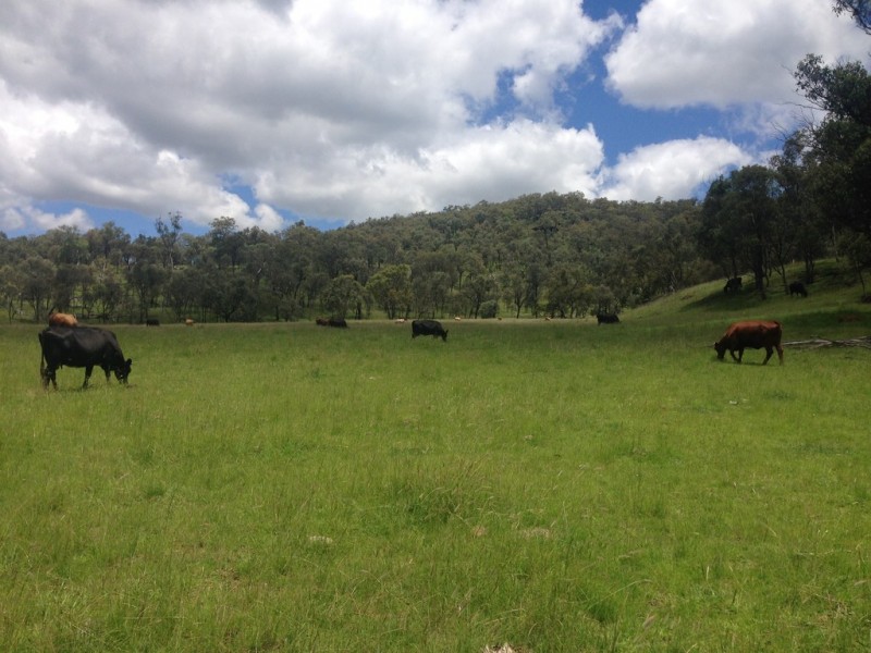 “The Glen” 988 Pilton Valley Rd, Upper Pilton QLD 4361