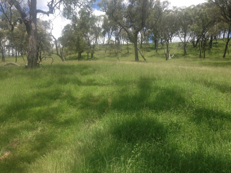 “The Glen” 988 Pilton Valley Rd, Upper Pilton QLD 4361