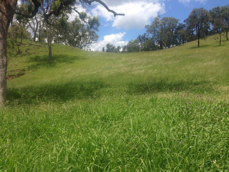 “The Glen” 988 Pilton Valley Rd, Upper Pilton QLD 4361