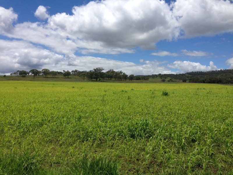 “The Glen” 988 Pilton Valley Rd, Upper Pilton QLD 4361