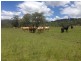 “The Glen” 988 Pilton Valley Rd, Upper Pilton QLD 4361