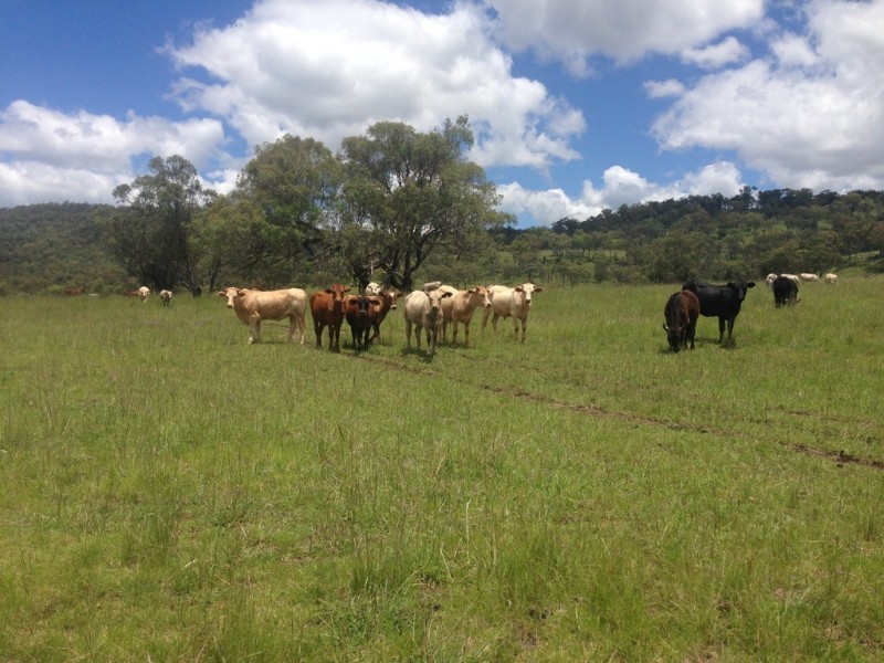 “The Glen” 988 Pilton Valley Rd, Upper Pilton QLD 4361