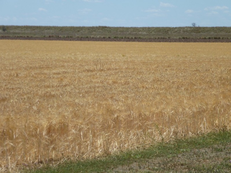 ” West View “, Dalby QLD 4405
