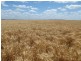 ” West View “, Dalby QLD 4405