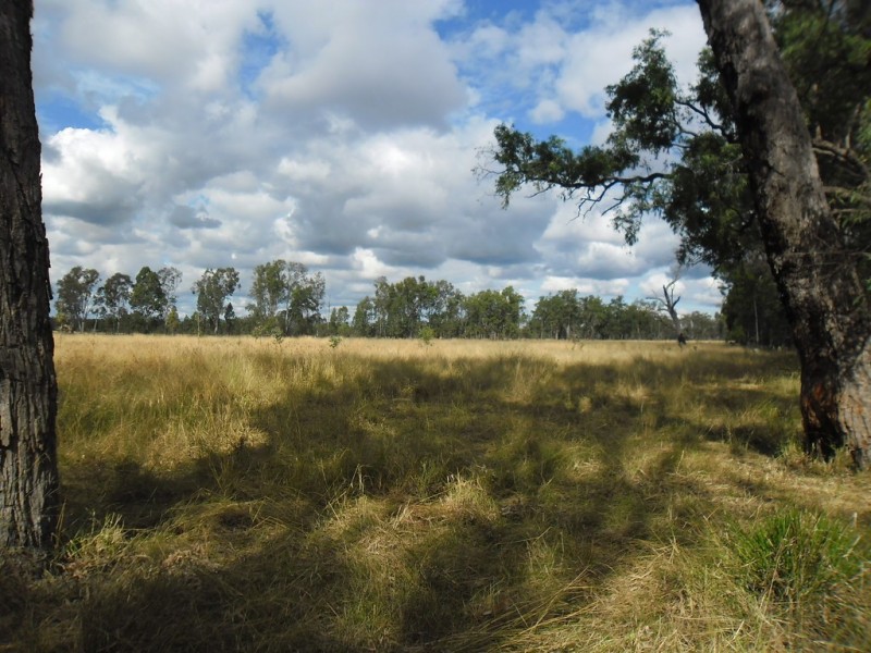 190 Myall Park Road, Miles QLD 4415