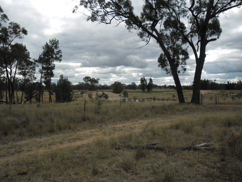 190 Myall Park Road, Miles QLD 4415