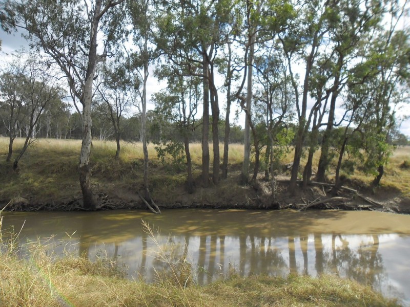 190 Myall Park Road, Miles QLD 4415