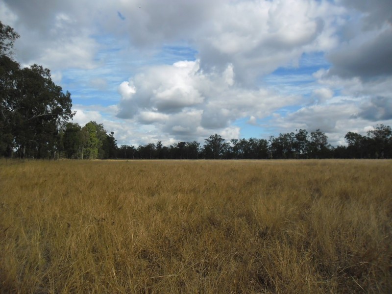 190 Myall Park Road, Miles QLD 4415