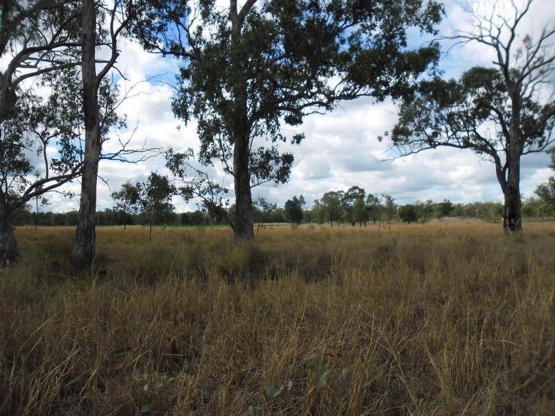 190 Myall Park Road, Miles QLD 4415