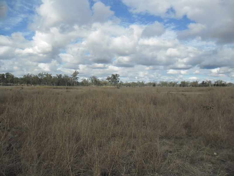 190 Myall Park Road, Miles QLD 4415