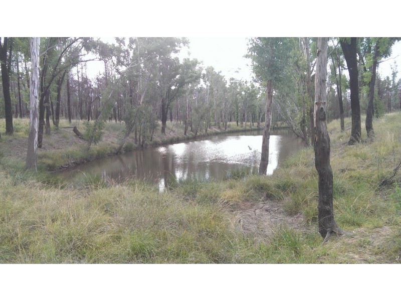 34 RYALLS ROAD, HOOKSWOOD, Miles QLD 4415