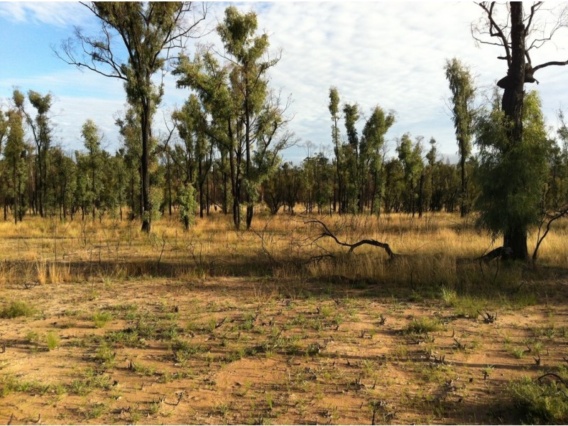 34 RYALLS ROAD, HOOKSWOOD, Miles QLD 4415