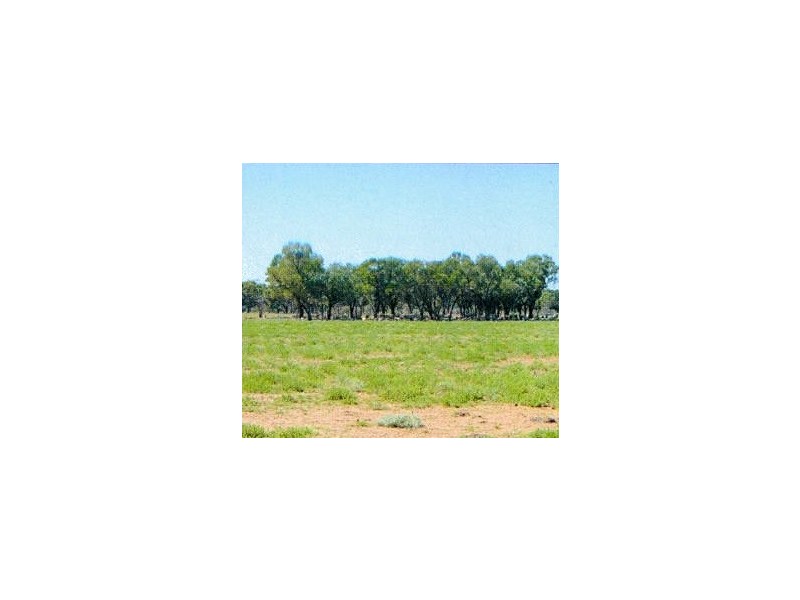* Turn Turn/Wittenburra, Eulo QLD 4491