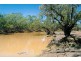 * Turn Turn/Wittenburra, Eulo QLD 4491