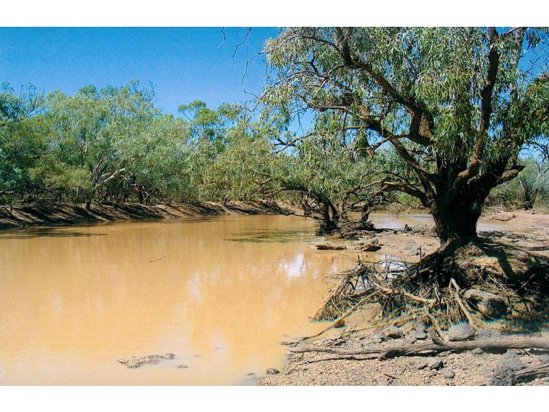 * Turn Turn/Wittenburra, Eulo QLD 4491