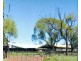 * Turn Turn/Wittenburra, Eulo QLD 4491