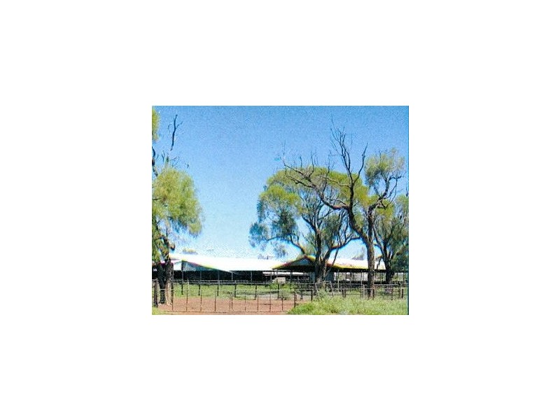 * Turn Turn/Wittenburra, Eulo QLD 4491