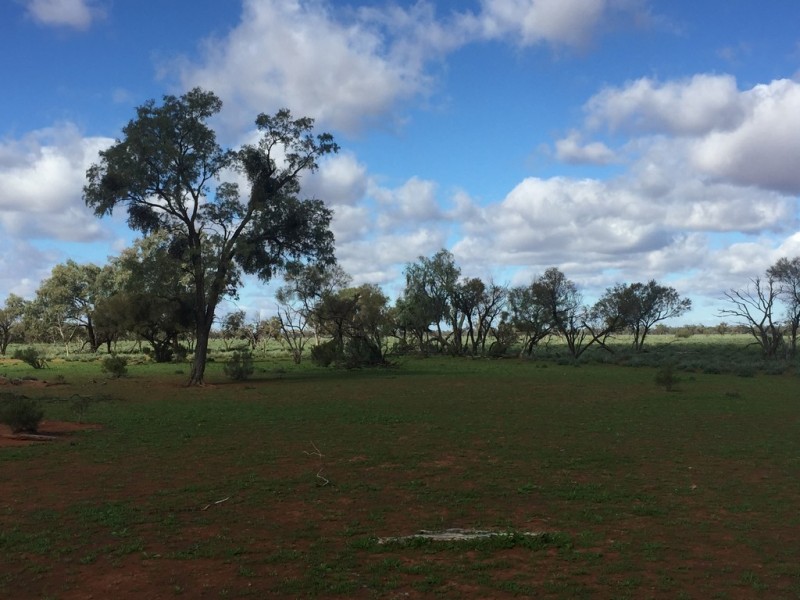 * Turn Turn/Wittenburra, Eulo QLD 4491