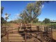 * Turn Turn/Wittenburra, Eulo QLD 4491