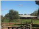 * Turn Turn/Wittenburra, Eulo QLD 4491
