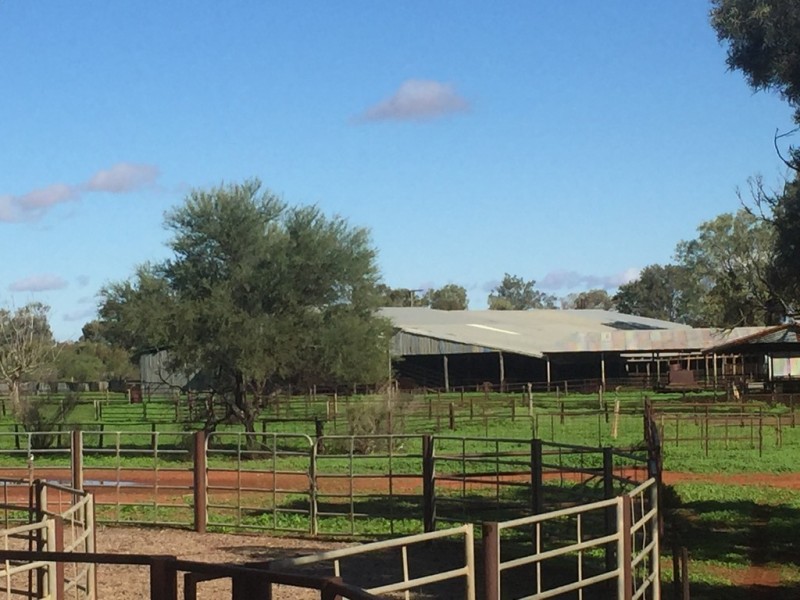 * Turn Turn/Wittenburra, Eulo QLD 4491
