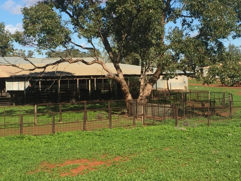 * Turn Turn/Wittenburra, Eulo QLD 4491