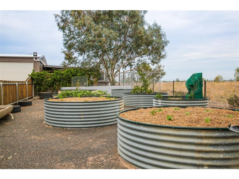 358 Dargal Road, Roma QLD 4455