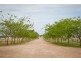 358 Dargal Road, Roma QLD 4455