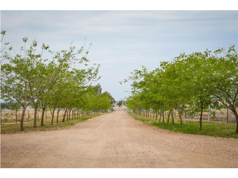 358 Dargal Road, Roma QLD 4455