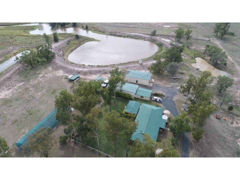 ” TOLMAH HOMESTEAD “, Condamine QLD 4416