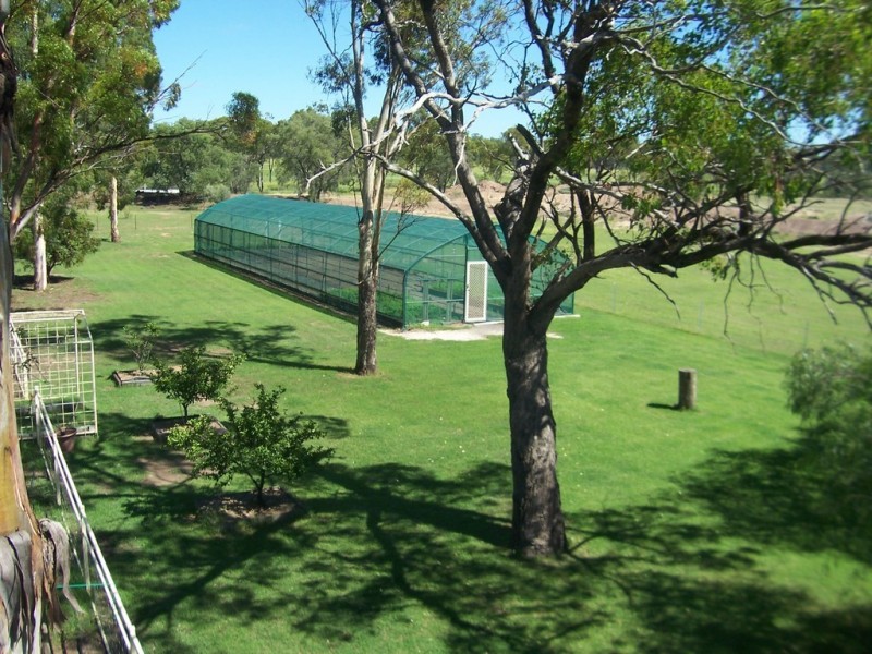 ” TOLMAH HOMESTEAD “, Condamine QLD 4416