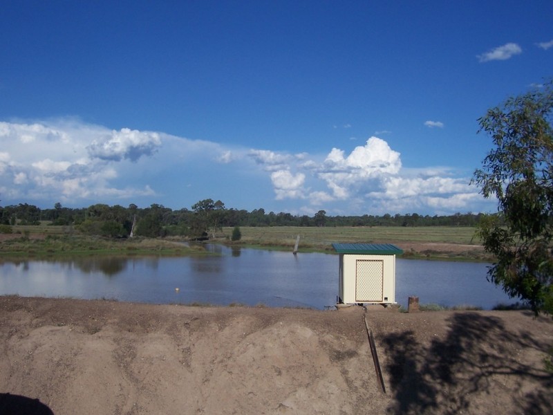 ” TOLMAH HOMESTEAD “, Condamine QLD 4416