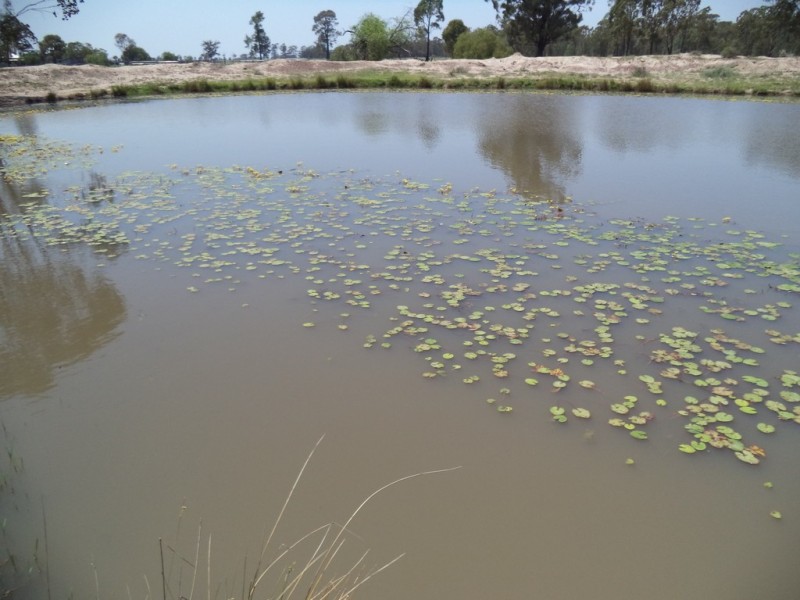 290 “Rosevale” Kerwicks Road, Miles QLD 4415