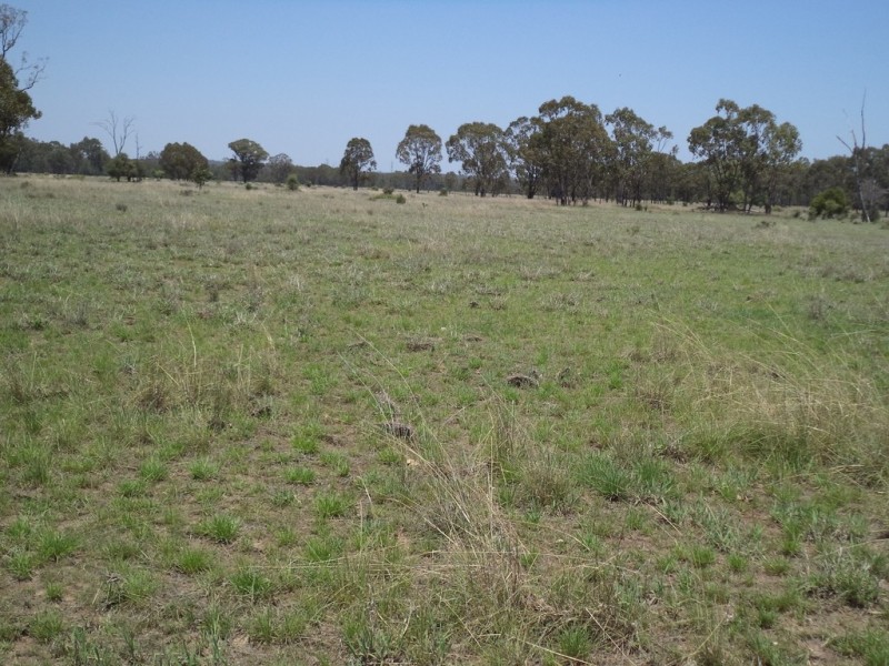 290 “Rosevale” Kerwicks Road, Miles QLD 4415