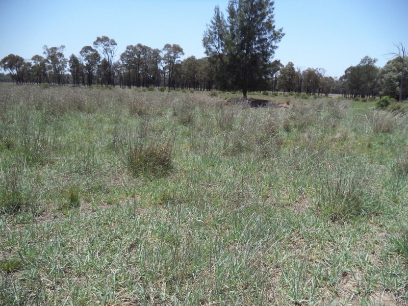 290 “Rosevale” Kerwicks Road, Miles QLD 4415