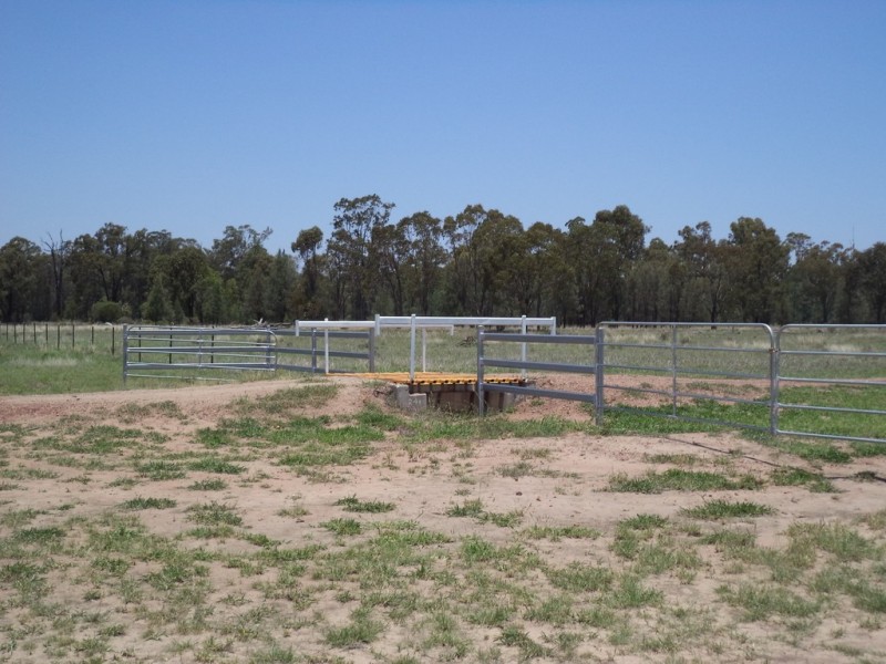 290 “Rosevale” Kerwicks Road, Miles QLD 4415