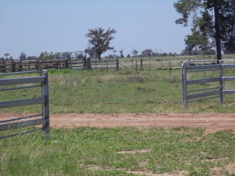 290 “Rosevale” Kerwicks Road, Miles QLD 4415