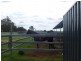 276 Case Road, Chinchilla QLD 4413