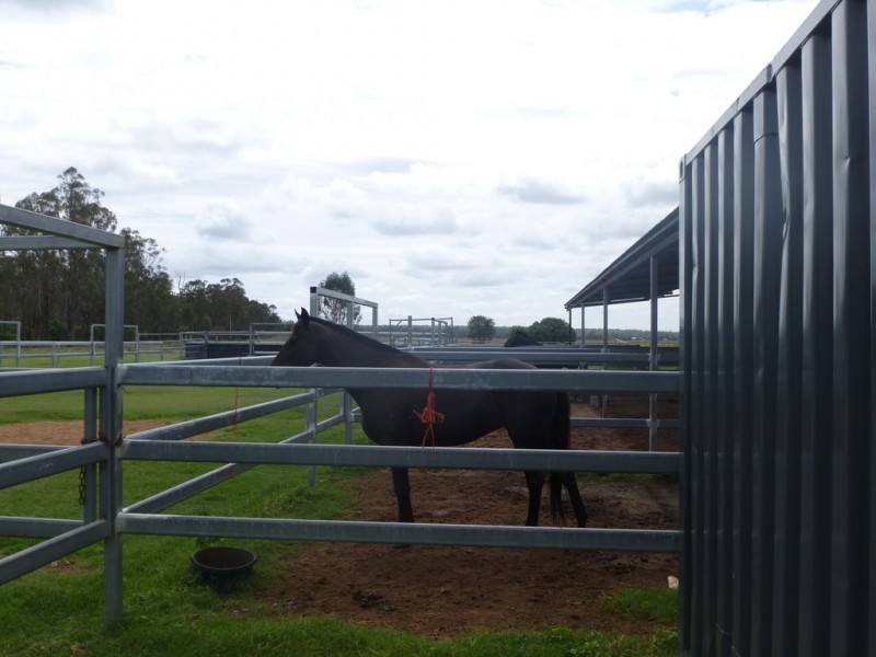 276 Case Road, Chinchilla QLD 4413