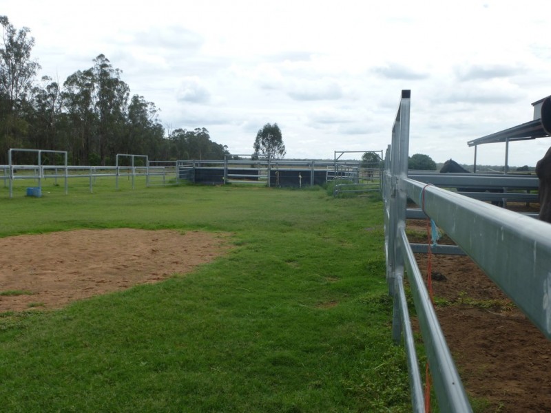 276 Case Road, Chinchilla QLD 4413